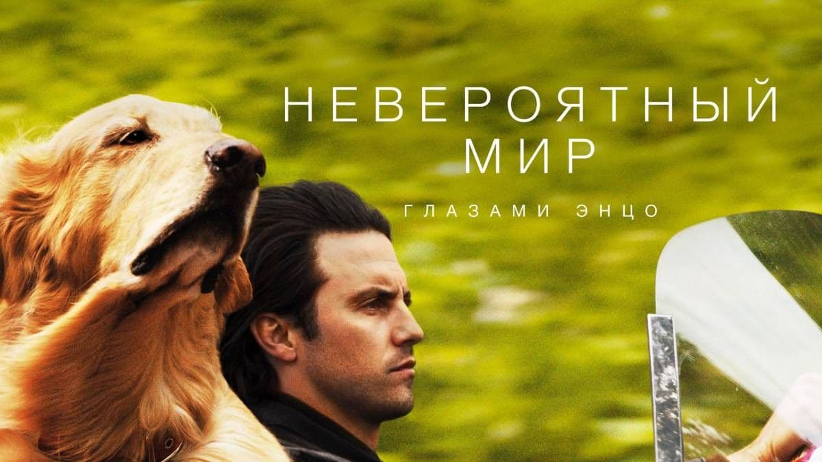 Невероятный мир глазами Энцо постер