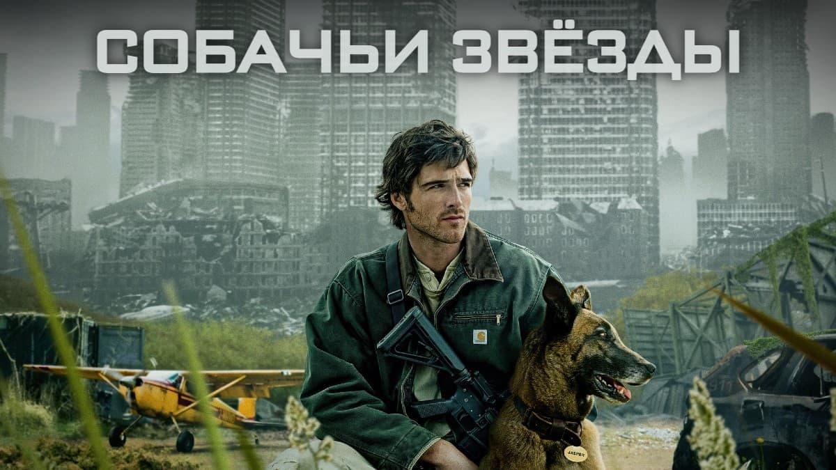 Собачьи звёзды постер